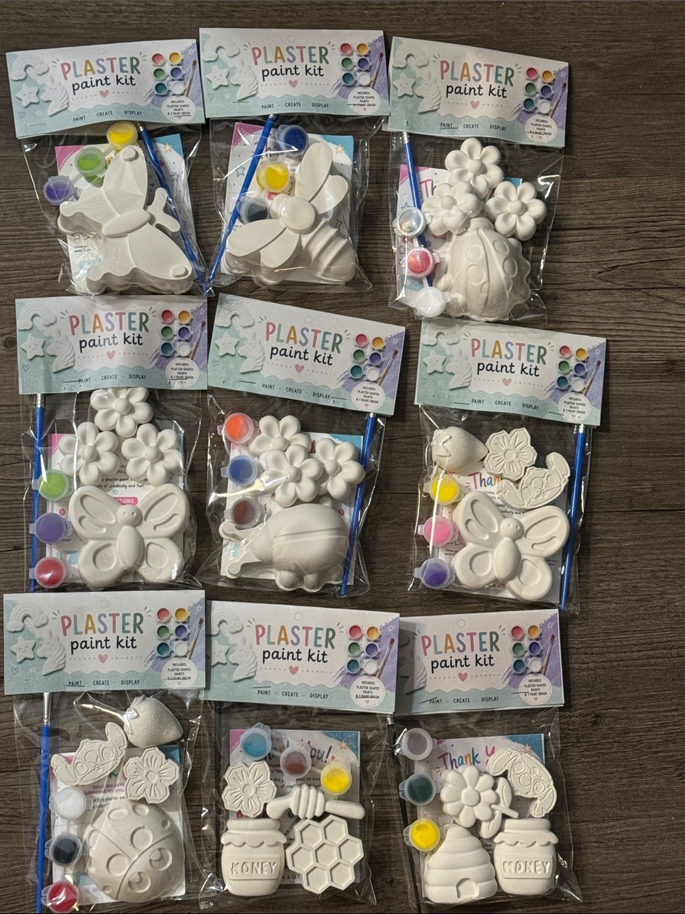 Plaster paint kits-insect and flowers